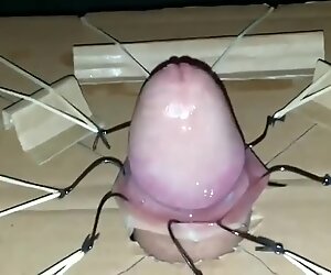 Extreme cock torture with fishhooks part 1